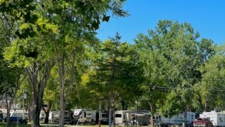 Pin Oak RV Resort in Villa Ridge MO Location Image