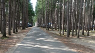 Pearl Lake RV Campground in Redgranite, WI Location Image
