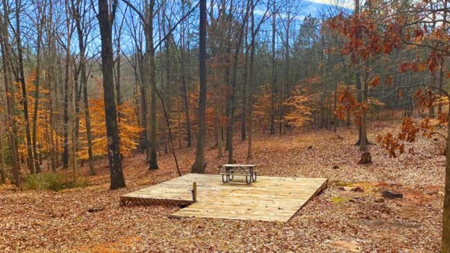 The Point at Lake Hartwell Gallery Image