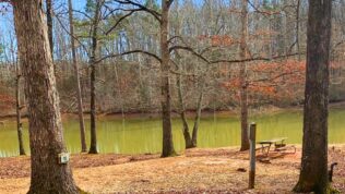 The Point at Lake Hartwell Location Image