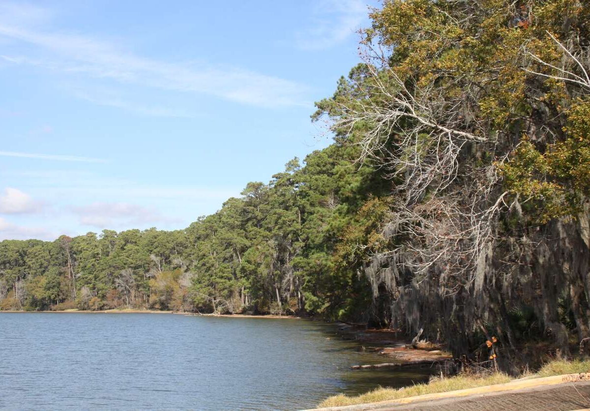 An autumn view of the shores of Lake Conroe near Willis, TX.